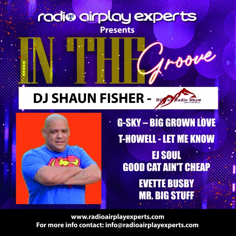 Image: IN THE GROOVE WITH -   DJ SHAUN FISHER