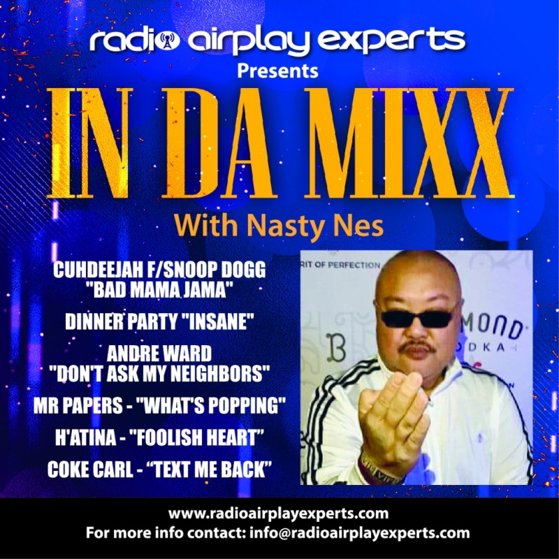 Image: IN DA MIXX WITH - NASTY NES