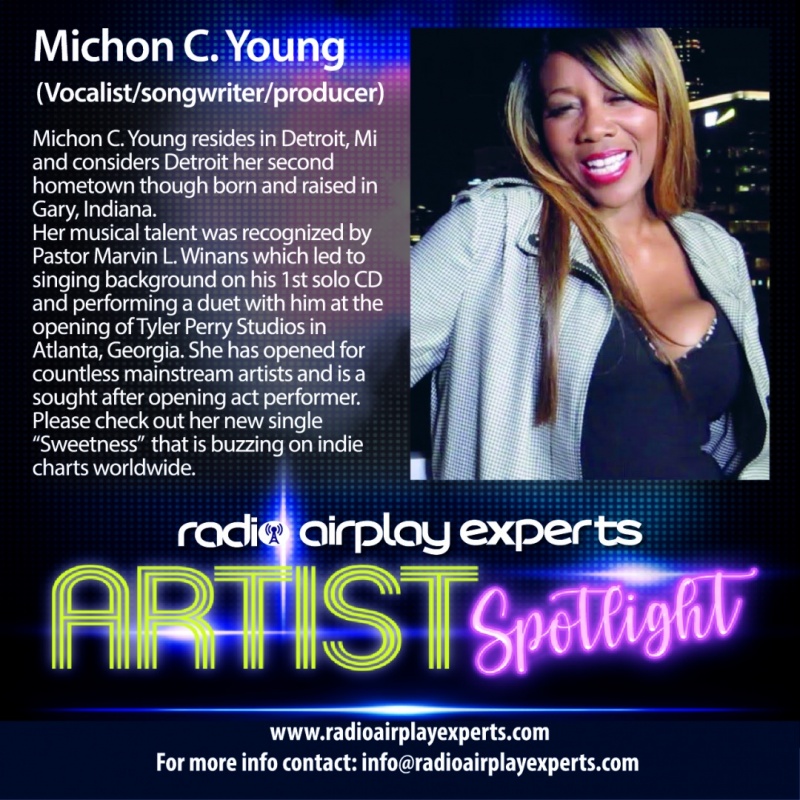 Image: ARTIST SPOTLIGHT   -  MICHON C. YOUNG 