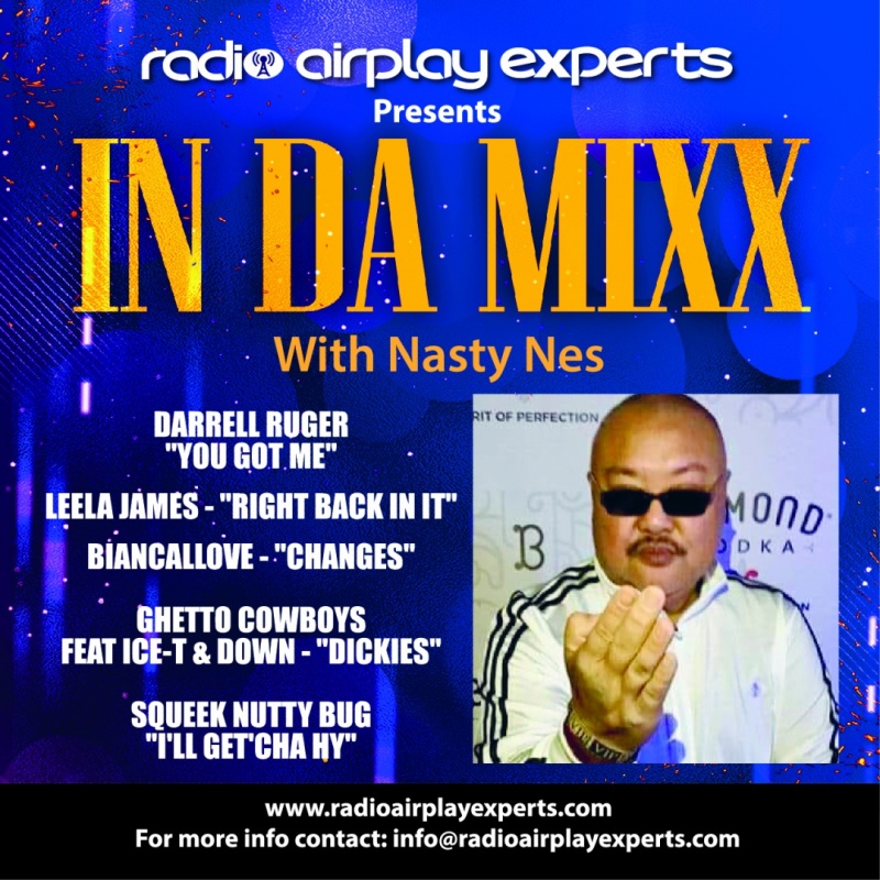 Image: IN DA MIXX WITH - NASTY NES